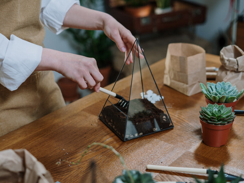 Close up image of hands making a DIY terrarium